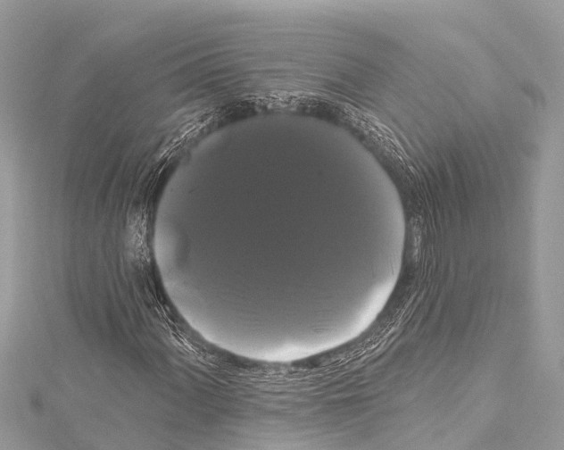 X0000114181060200911191303