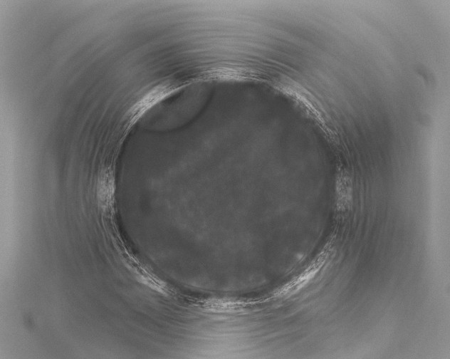 X0000114181065200911191303