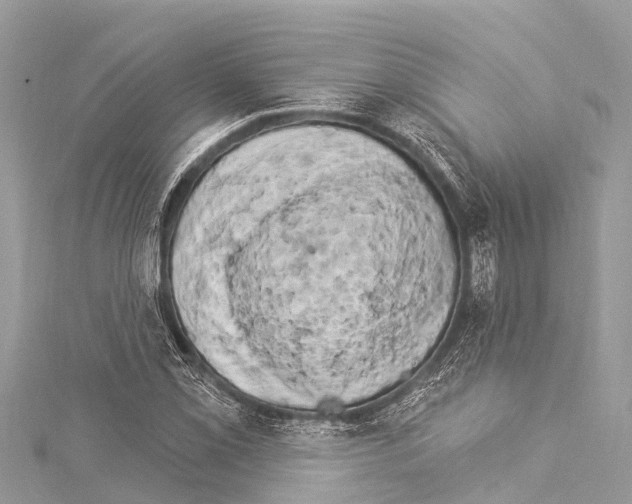 X0000114181069200911191303