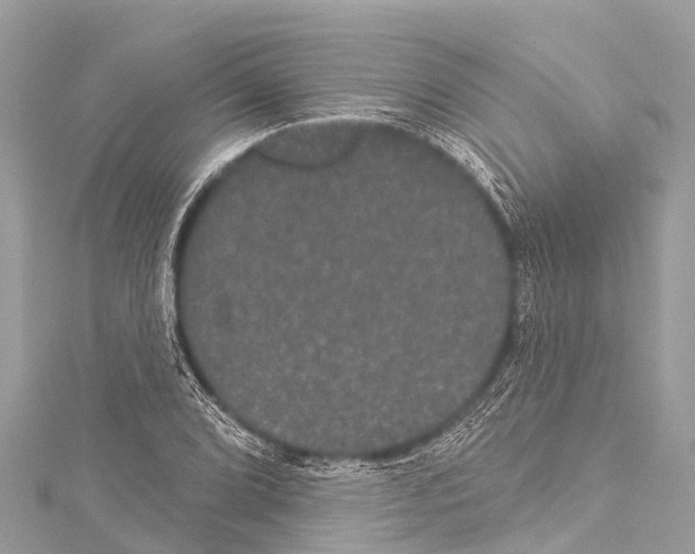 X0000114181072200911191303