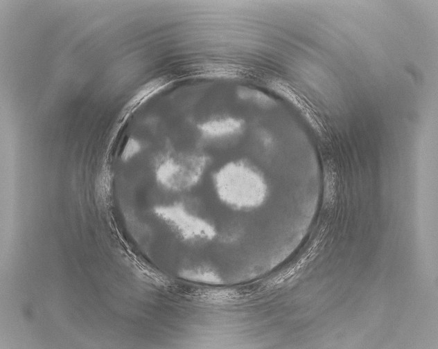 X0000114181074200911191303