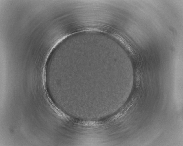 X0000114181076200911191303