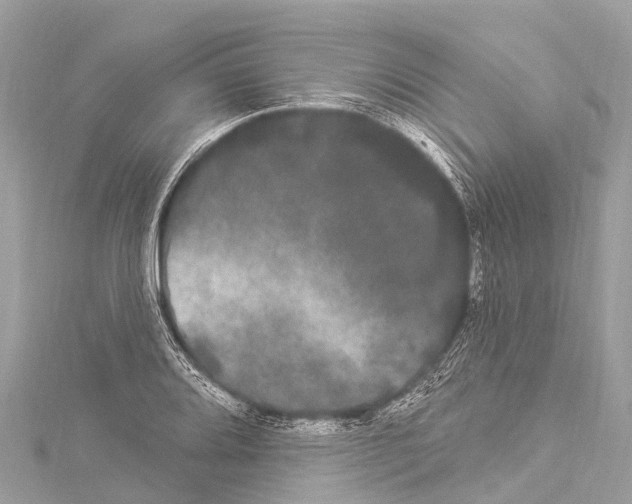 X0000114181080200911191303