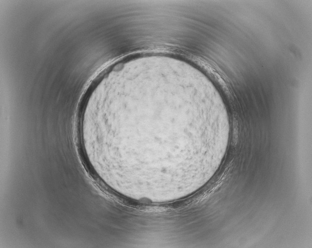 X0000114181085200911191303