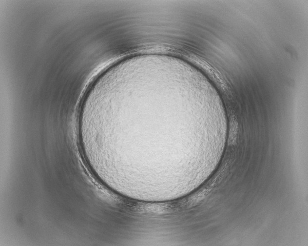 X0000114181086200911191302