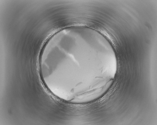 X0000114181088200911191302