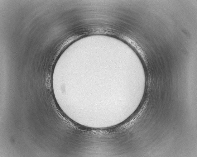 X0000114181089200911191302