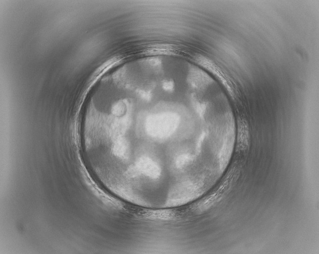 X0000114181090200911191302