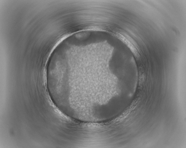 X0000114181092200911191302