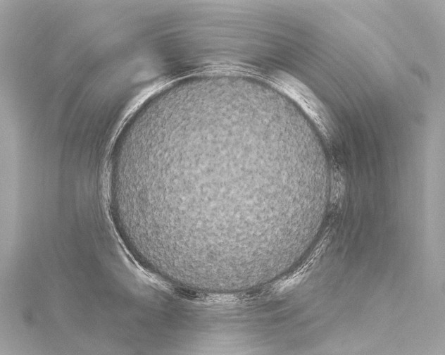 X0000114181094200911191302