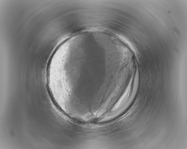 X0000114181095200911191302