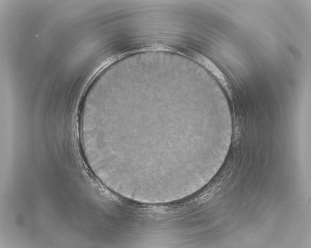 X0000114181096200911191302