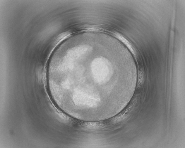 X0000114181098200911191302