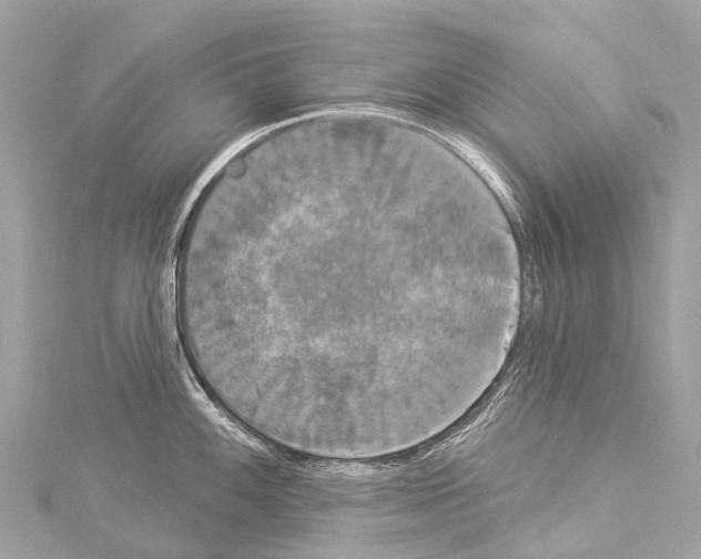 X0000114181100200911191302