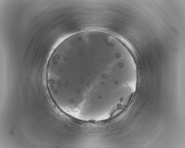 X0000114181102200911191302