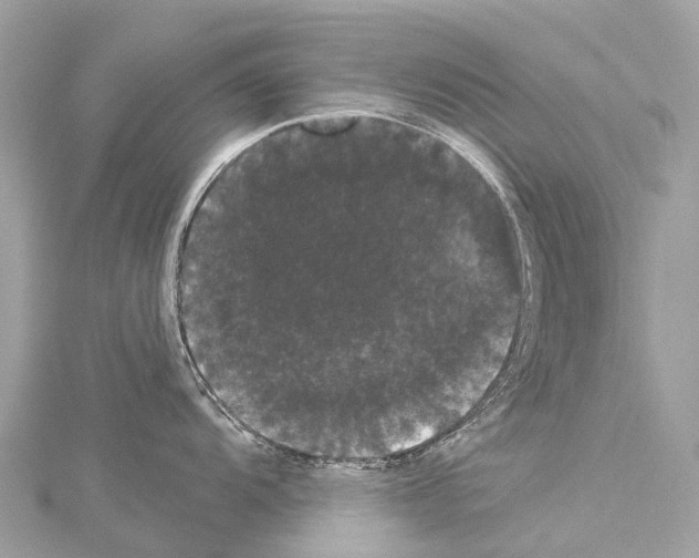 X0000114181104200911191302