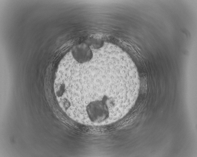 X0000114181105200911191302