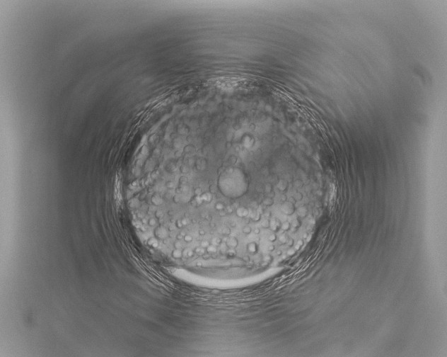 X0000114181106200911191302