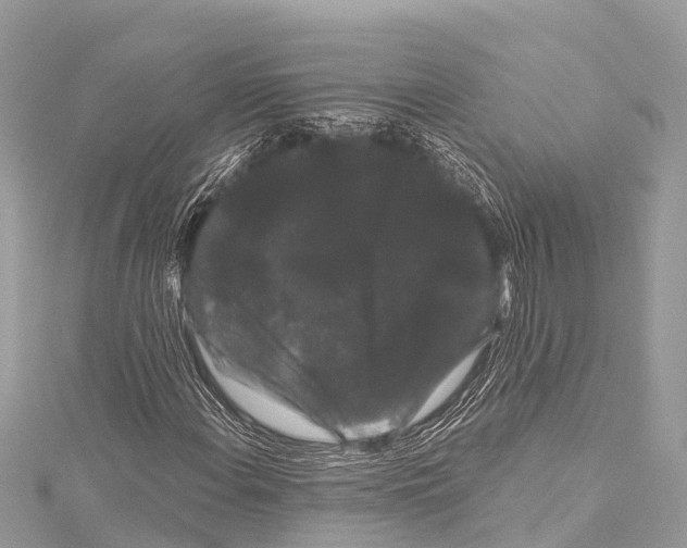 X0000114181108200911191302