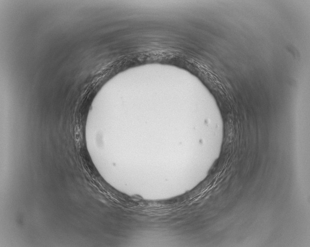 X0000114181109200911191302