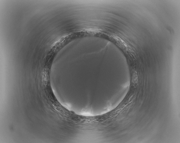 X0000114181110200911191302