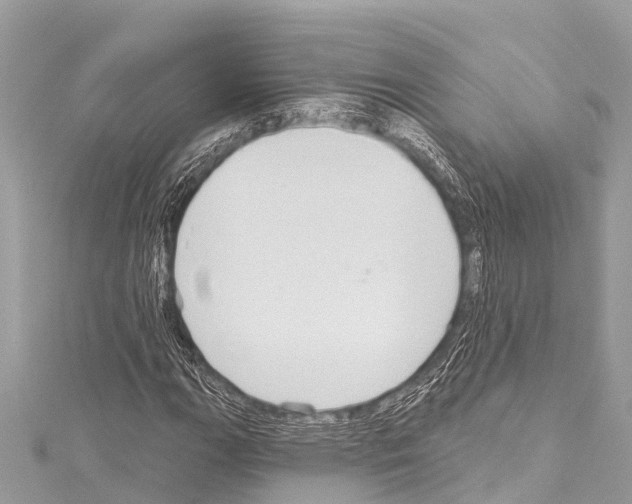 X0000114181111200911191302