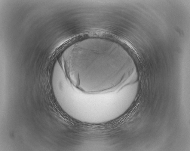 X0000114181112200911191302