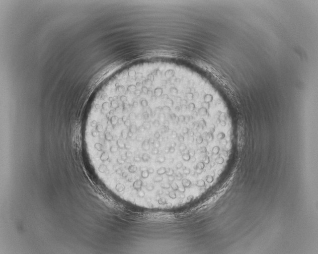 X0000114181113200911191302