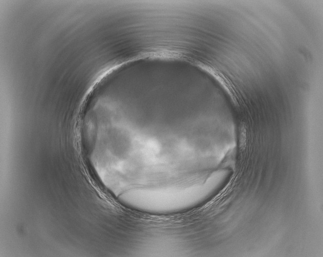 X0000114181115200911191302