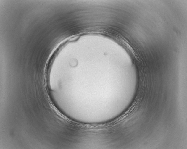 X0000114181116200911191302