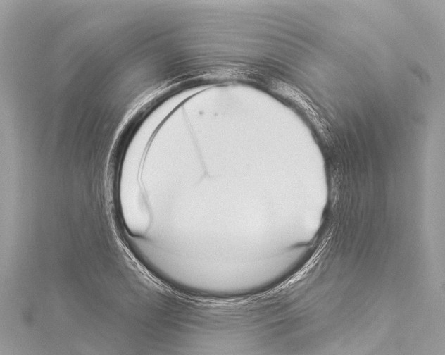 X0000114181122200911191302