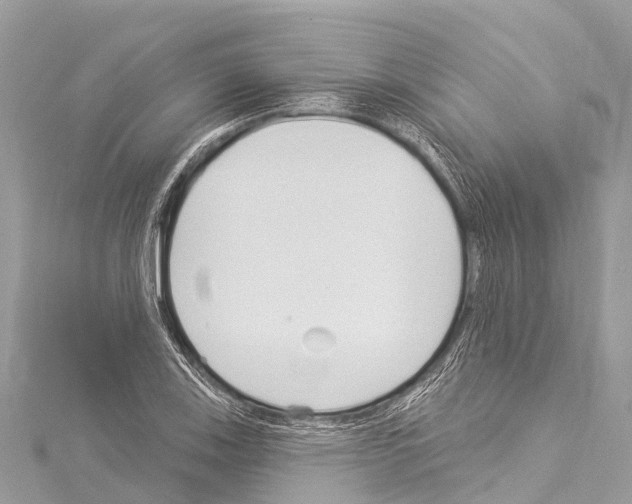 X0000114181123200911191302