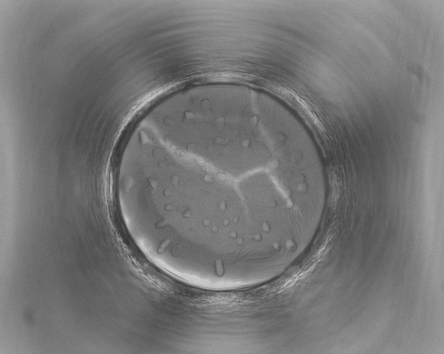 X0000114181125200911191302