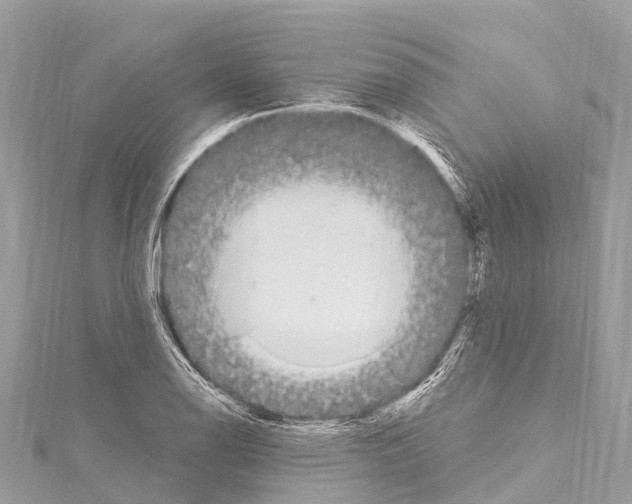 X0000114181126200911191302