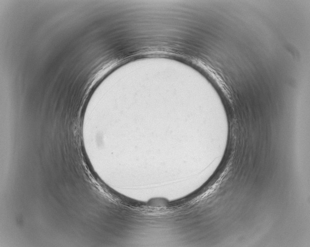 X0000114181129200911191302