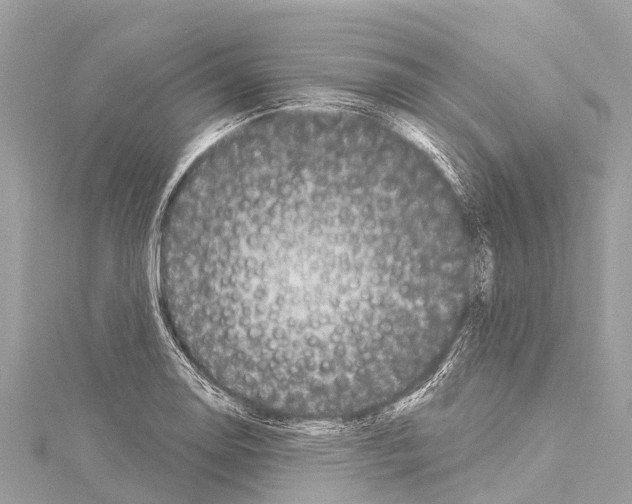 X0000114181130200911191302