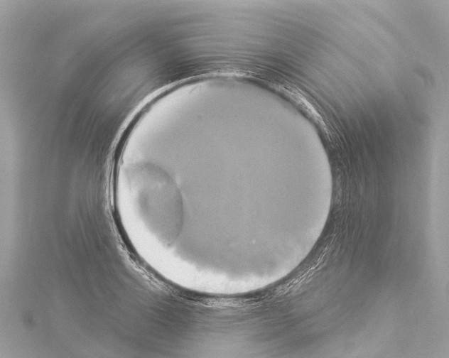 X0000114181132200911191302