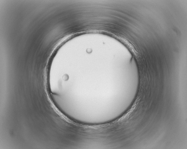 X0000114181134200911191302