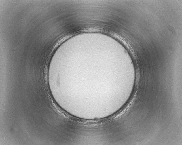 X0000114181137200911191302