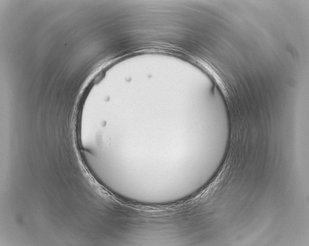 X0000114181138200911191302