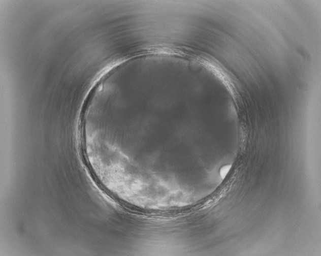 X0000114181141200911191302