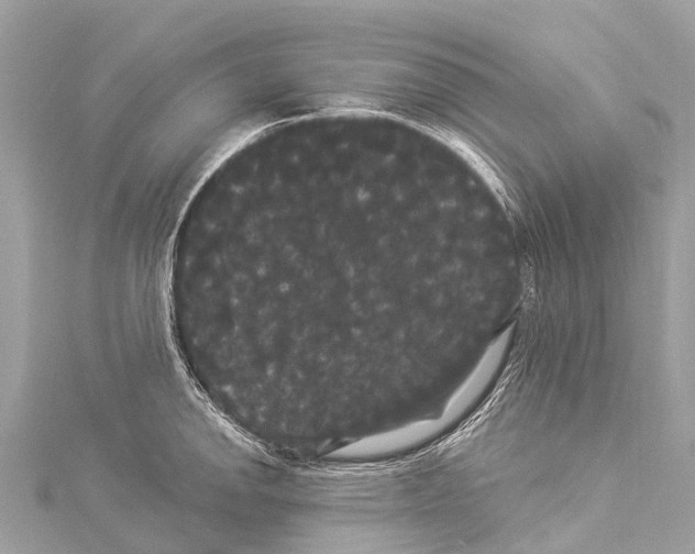 X0000114181142200911191302