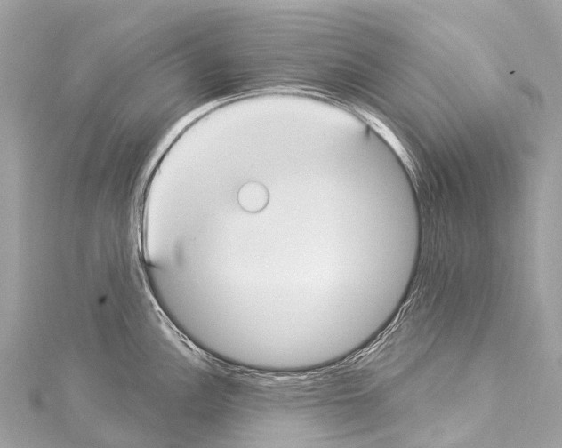 X0000114181148200911191302