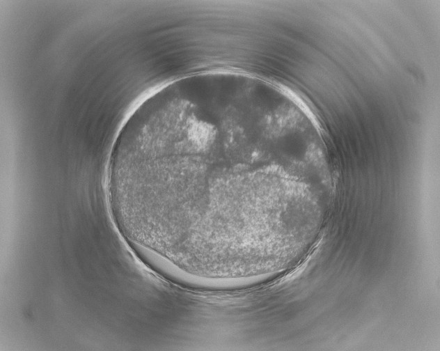 X0000114181149200911191302