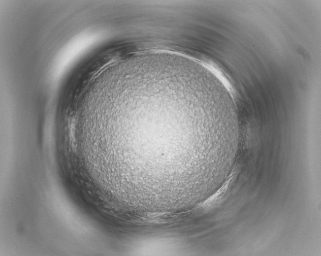 X0000114181150200911191302