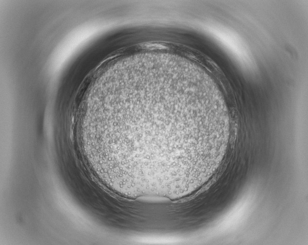 X0000114181151200911191302