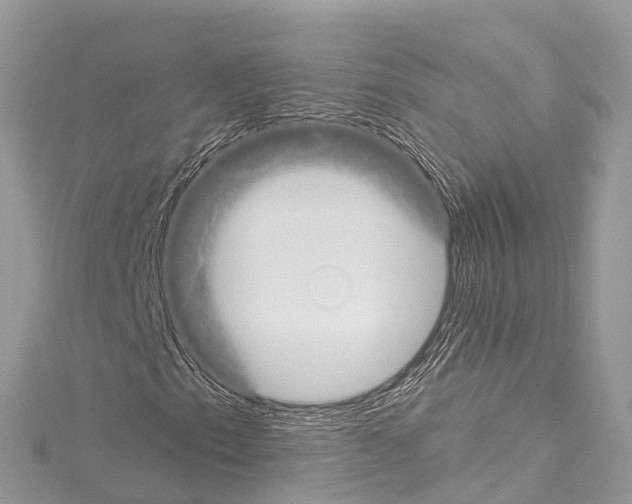 X0000114181153200911191302