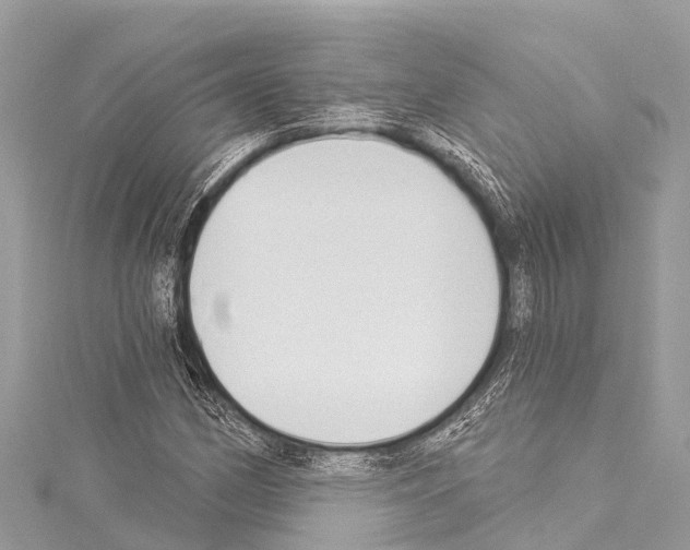 X0000114181162200911191302