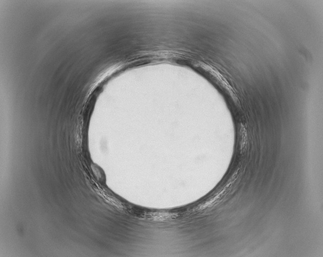 X0000114181163200911191302