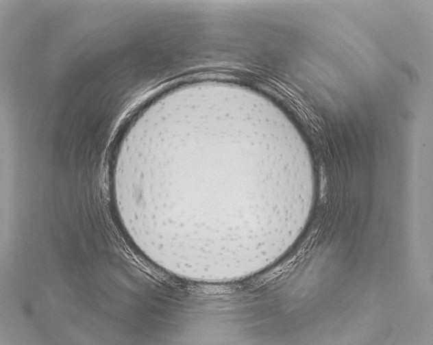 X0000114181164200911191301